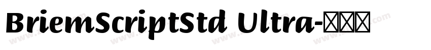 BriemScriptStd Ultra字体转换